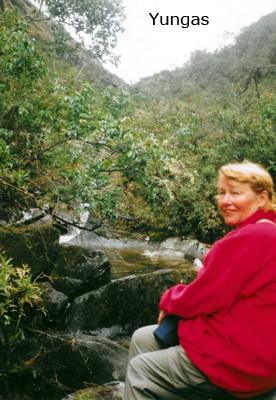Yungas